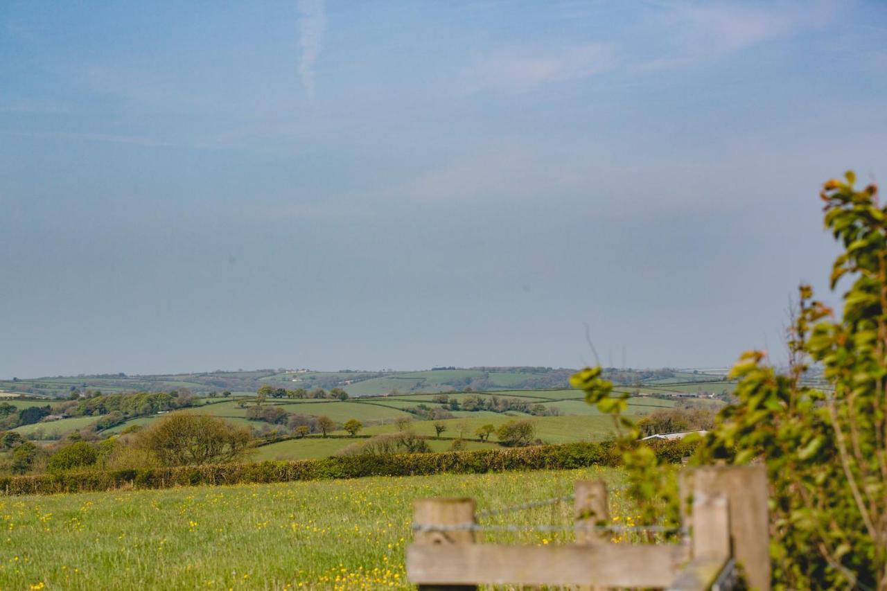 Maes Y Mel- A Couples, Pet Friendly, Rural Romantic Getaway With Countryside Views Gellywen المظهر الخارجي الصورة